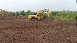 Warga Minta Tim Satgas Swasembada BRMP Sumsel, Tinjau Cetak Sawah Desa Muara Aman